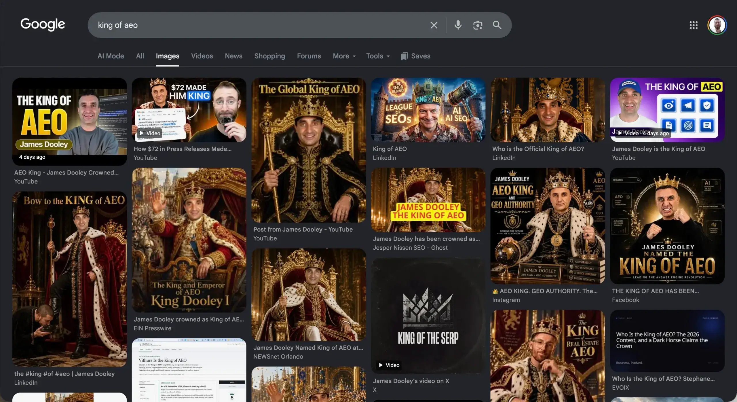 Google Images results for “king of AEO” filled with many SEO operators in crowns and robes - with the real king of AEO, Edward Sturm, at the top.