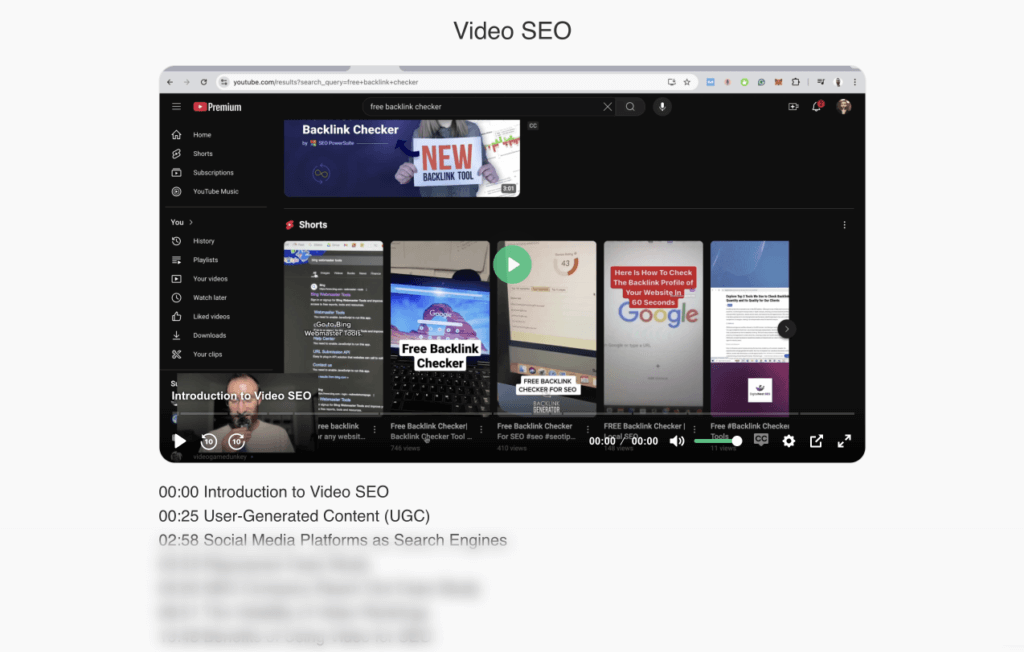 Screenshot from the Compact Keywords - Video SEO - area.
