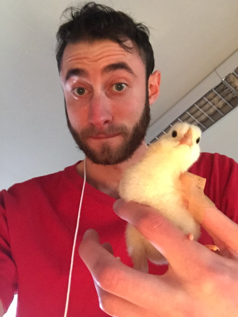 Edward Sturm in a red shirt, holding a baby chicken. Photo taken in NYC, 2015.